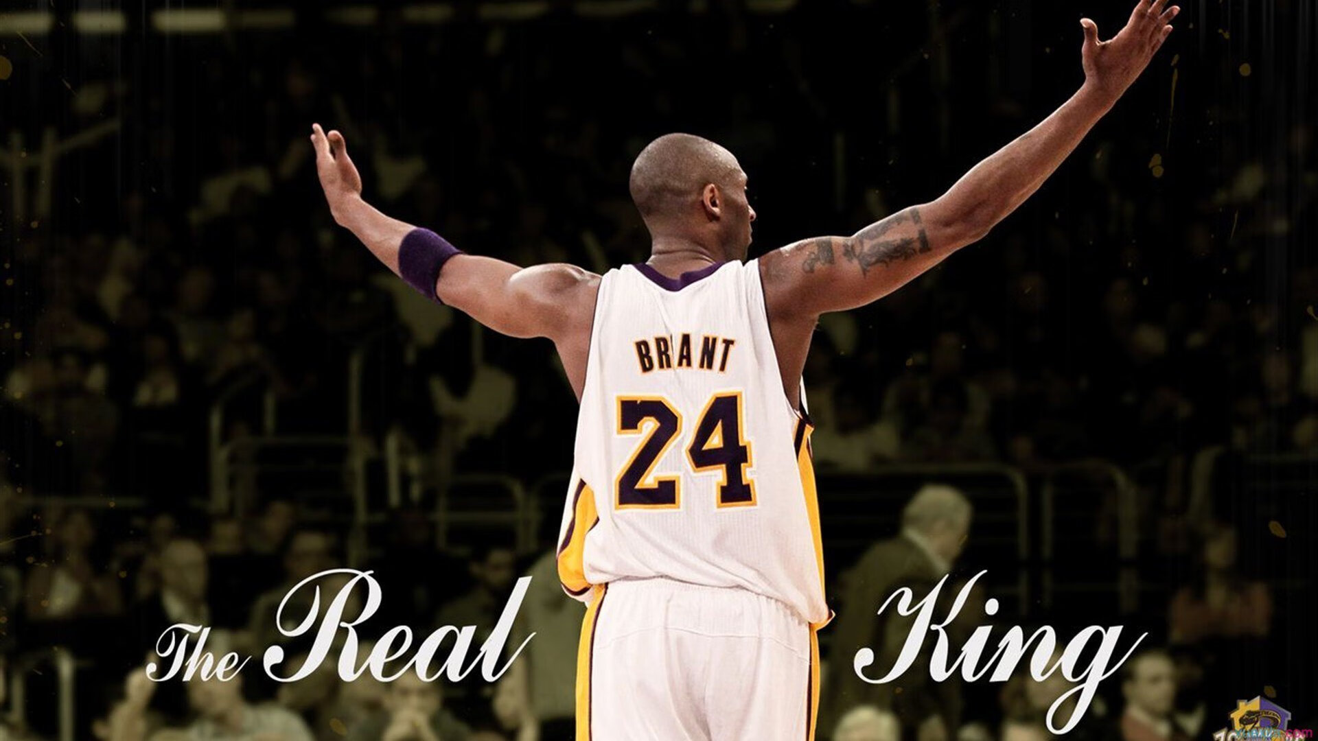 武切维奇单节定乾坤,公牛狂潮令辽宁队提前缴械